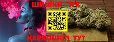 спиды Камышлов